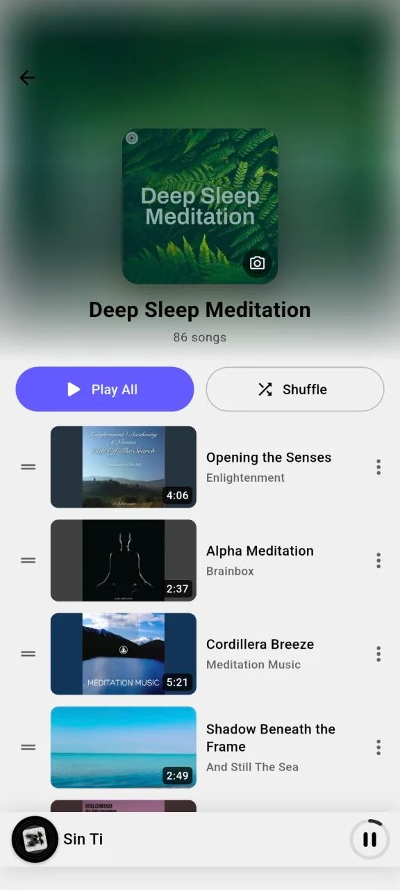Detalle de una playlist en Ground Music con los botones Reproducir todo y Aleatorio